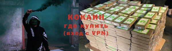 соль ск Абаза
