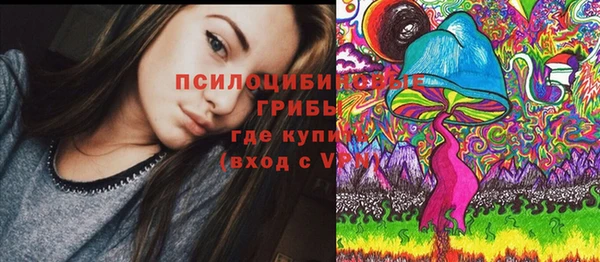 PSILOCYBIN Абдулино