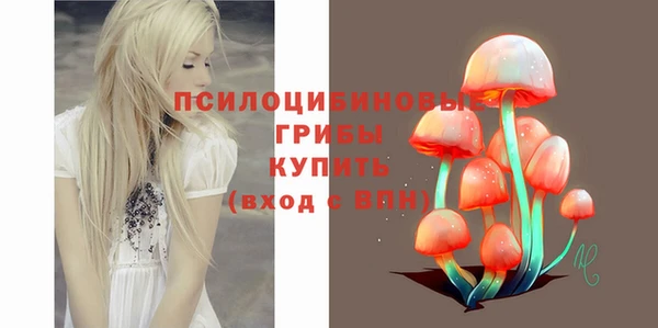 амф Абинск