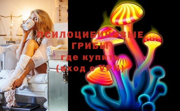 PSILOCYBIN Абдулино