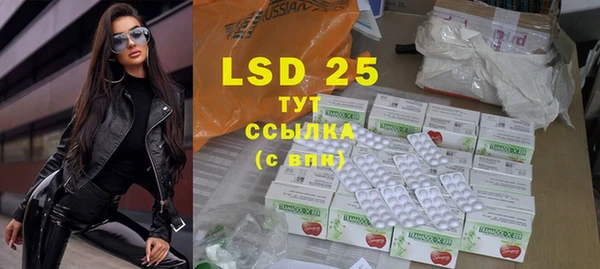 PSILOCYBIN Абдулино