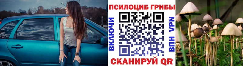 hydra Мурино Галлюциногенные грибы прущие грибы